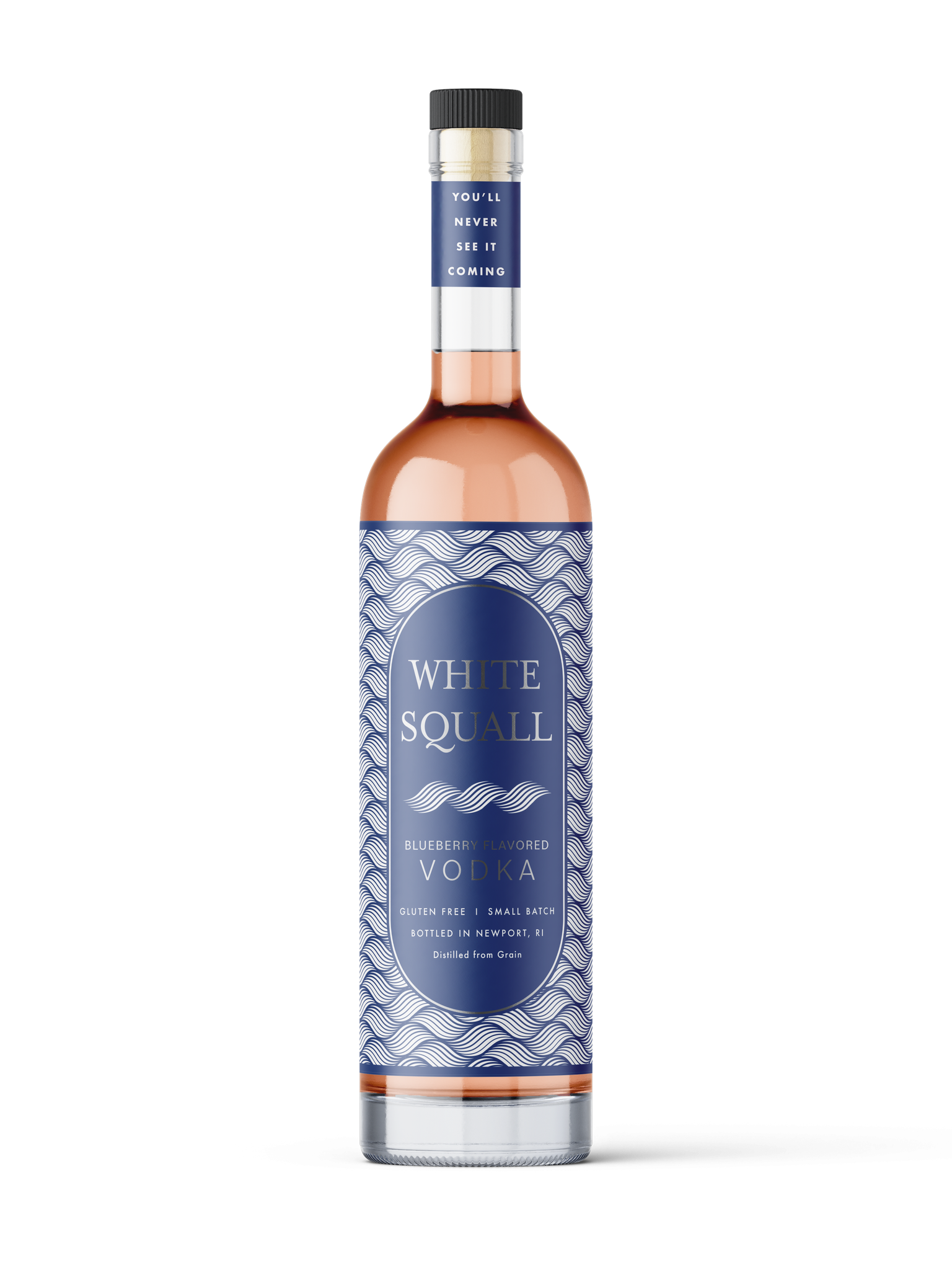 Vodka RI Newport Craft White Squall Blueberry – Point Wine & Spirits